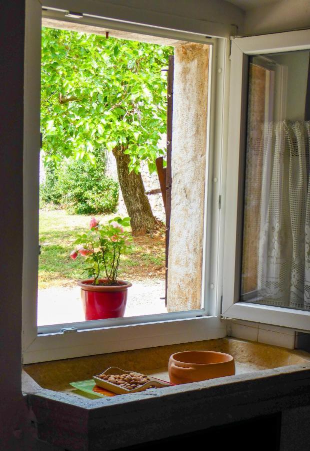 Villa Casa Istriana Nona Pina à Kaštelir Extérieur photo